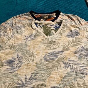 Express men two shirts size medium.